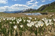 Al Passo di Budria (2216 m) al Rifugio Balicco e Bivacco Zamboni ad anello il 20 maggio 2020- FOTOGALLERY